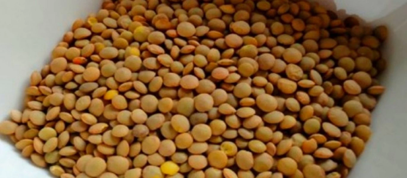 Το γνωρίζατε; - Δείτε για ποιο λόγο οι φακές θεωρούνται το «όσπριο του αθλητή»